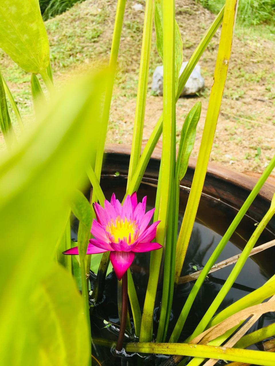 Khao Lak Golden Coconut 호텔 외부 사진
